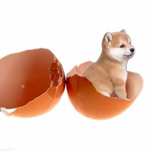 20220329_131043_2022-03-29_142442