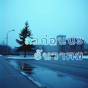 ลาก่อนนะธันวาคม