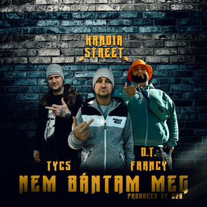 Nem bántam meg