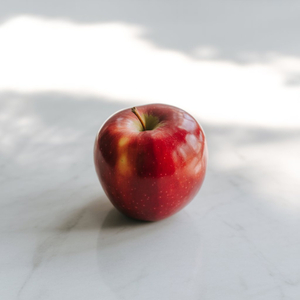 낙원을 삼킨 밤