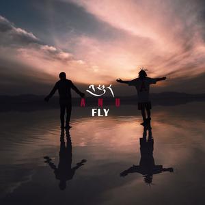 FLY-飞