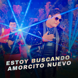 Estoy Buscando Amorcito Nuevo