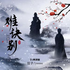 难诀别(DJ阿泽版)