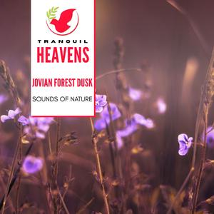 Soporific Music of the Northern Flicker