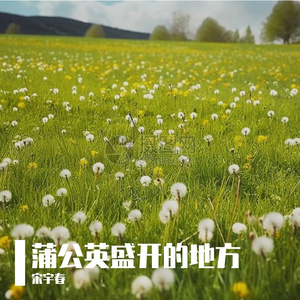 蒲公英盛开的地方（廖陶）