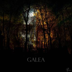 Galea