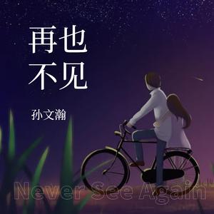 再也不见 伴奏