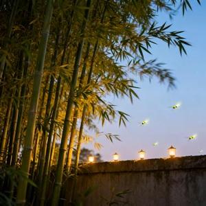 暖暖的光就在你身旁