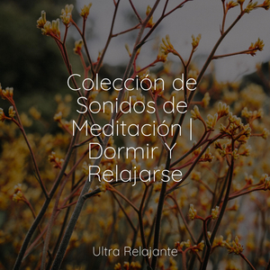 Esquinas De La Galaxia