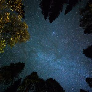 干杯  伴奏（唯美钢琴）