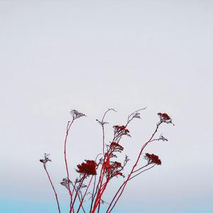 그 아이 (Feat. 변하은)