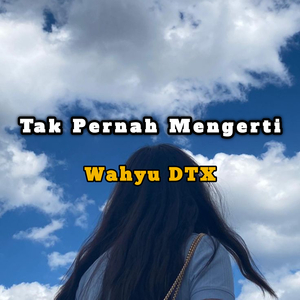 Tak Pernah Mengerti