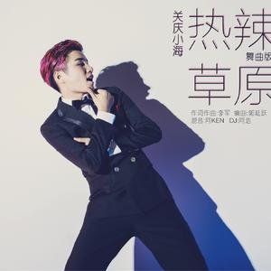 热辣草原 (DJ版)