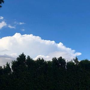 怎么样才可以让我忘记 (BGM)