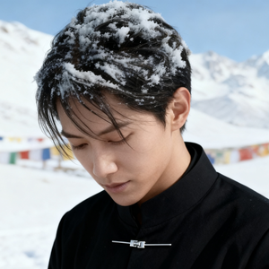 佛顶尊胜陀罗尼心咒（男生版）