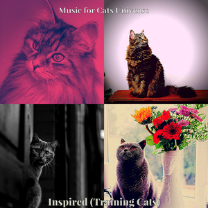Playful (Music)