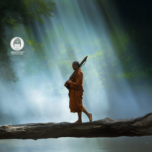 Sangha's Embrace