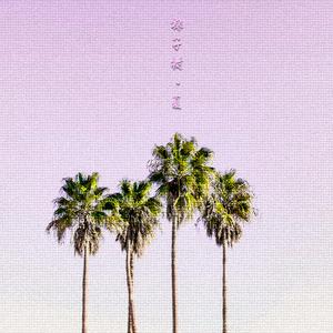 椰子树·夏