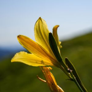 初次出发的旅程