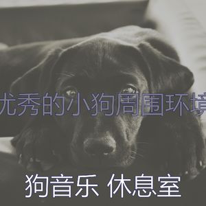 精彩狗环境
