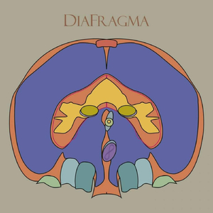 Samsara