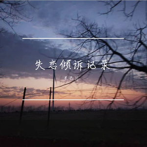 失恋倾诉记录