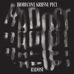 Poljski trkač na prepone