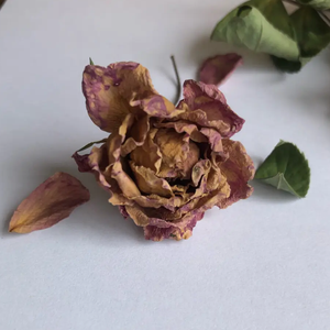 ドライフラワー/干花