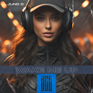 Wake Me Up (Instrumental Mix)