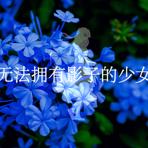 无法拥有影子的少女