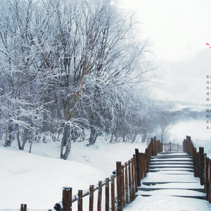 归途（原曲：覆雪江湖）