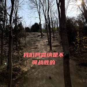 我们阿森纳是不可战胜的