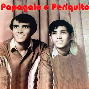 Mensagem do poeta (Rondonópolis)