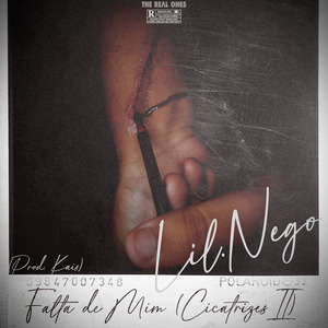 Falta de Mim (Cicatrizes II)