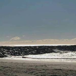 BBBAD(prod.金桔ORANG3)