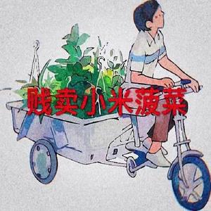 谁特么买小米？