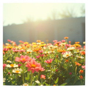 後悔しない明日を“優しさ”で選ぼう 自分の願いを信じよう