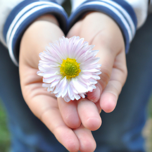 Cho-Manno, Revolutionary