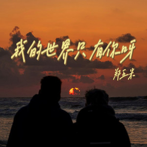 我的世界只有你啊