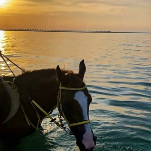 风来自很远的地方lov.1