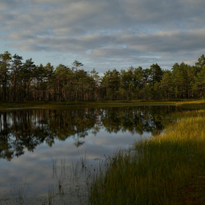 对错不由心 聚散不由人