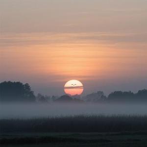 早起的太阳有点早