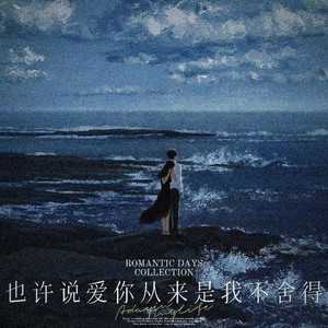 也许说爱你从来是我不舍得