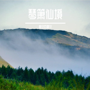 静临此处心如水