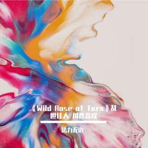 《Wild Rose of Tara》乱世佳人 川普喜欢