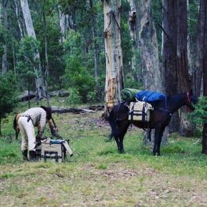 True Example of a Mate