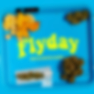 Flyday (feat. KAZKING & NOSPEED)