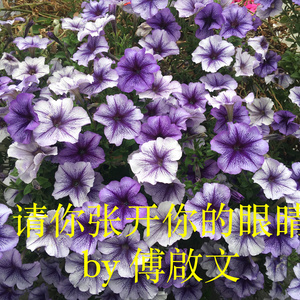 请你张开你的眼睛