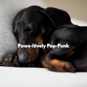 Cheerful Backdrops for Afternoon Napping