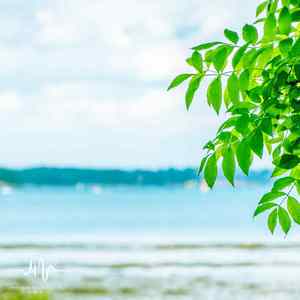 彩虹桥 (提高睡眠质量梦幻曲)